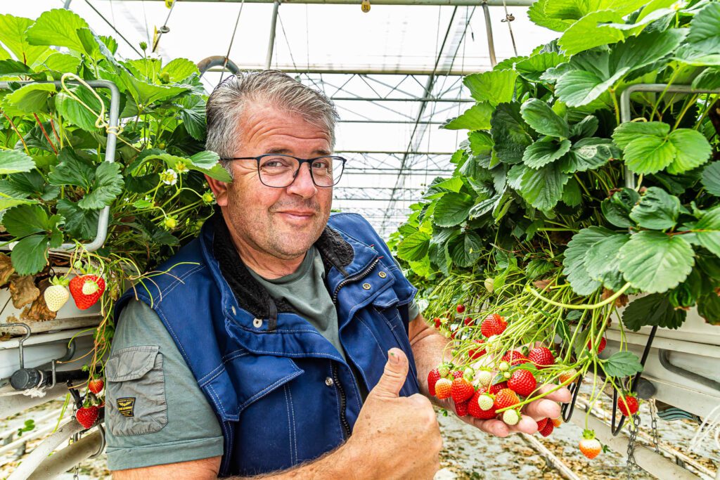 De Lekkerste Streekproducten Uit Nederland - Neder Groep